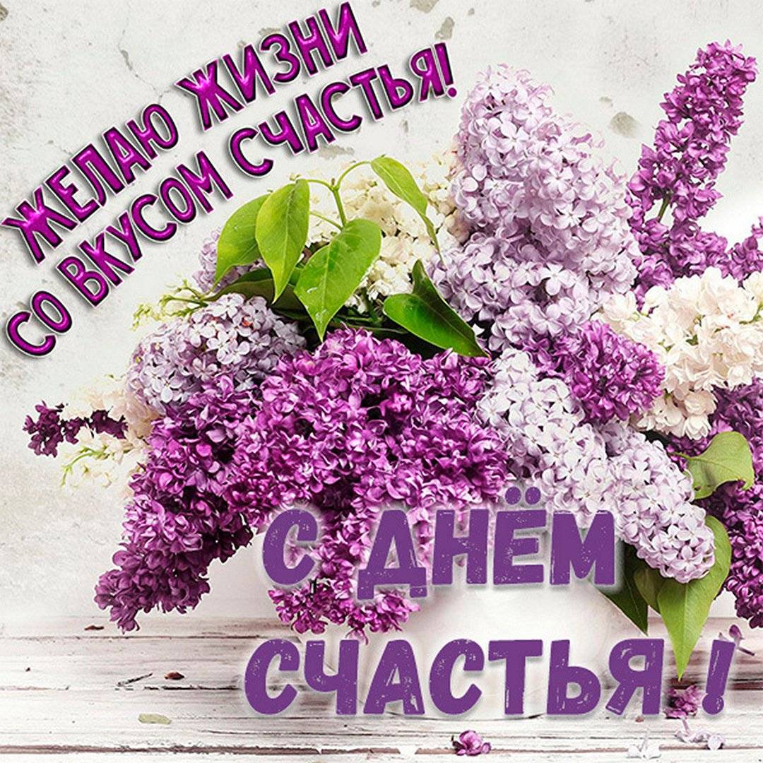 День счастья (81 изображение)