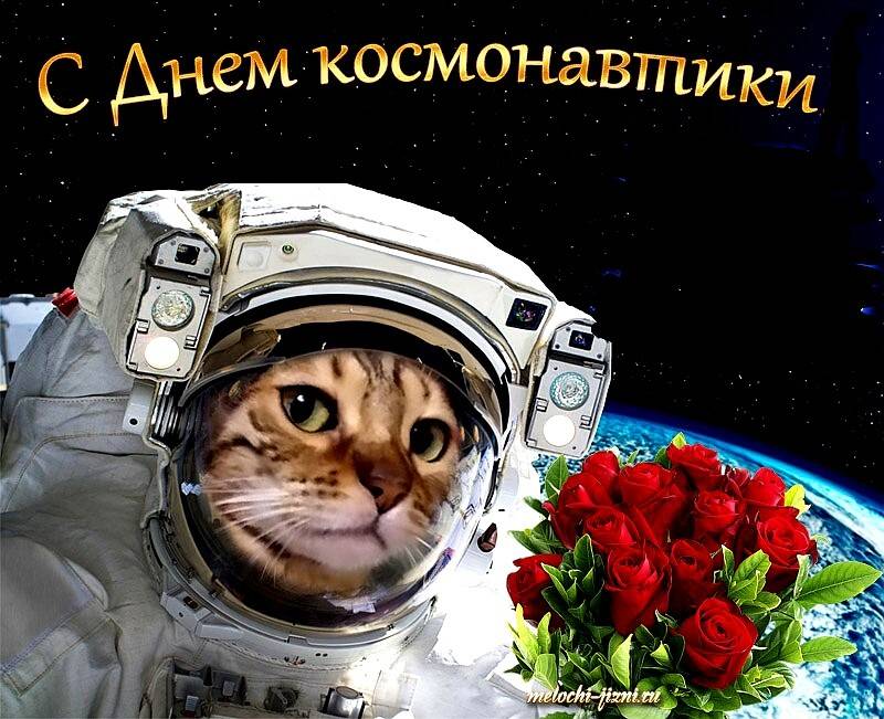 День космонавтики (71 изображение)