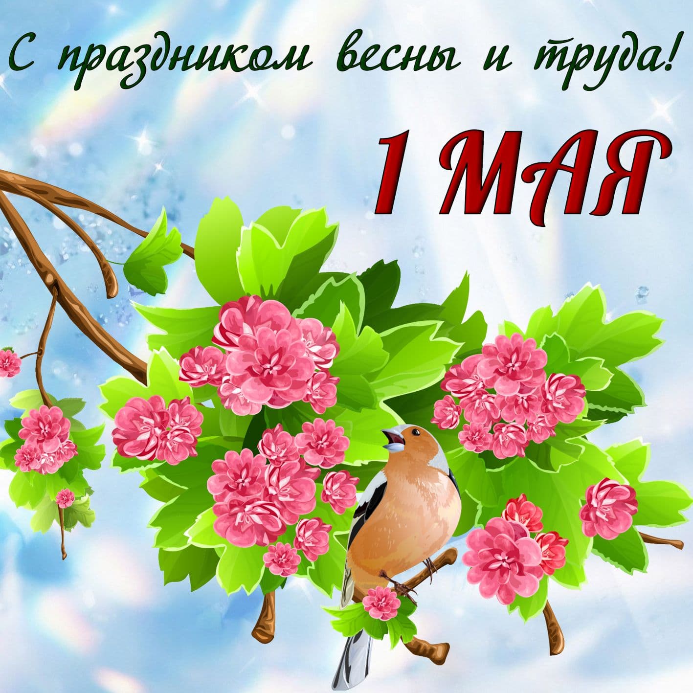 1 мая (55 изображений)