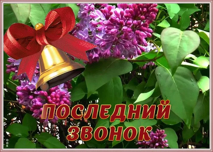 Последний звонок (50 изображений)