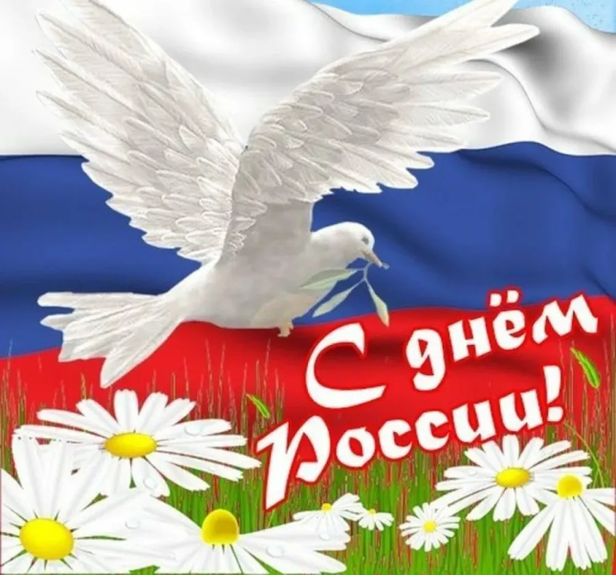 день России (57 изображений)