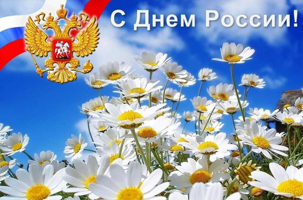 день России (57 изображений)