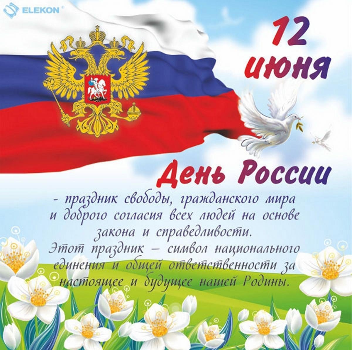 день России (57 изображений)